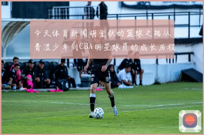 今天体育新闻胡金秋的篮球之路从青涩少年到CBA明星球员的成长历程与奋斗故事